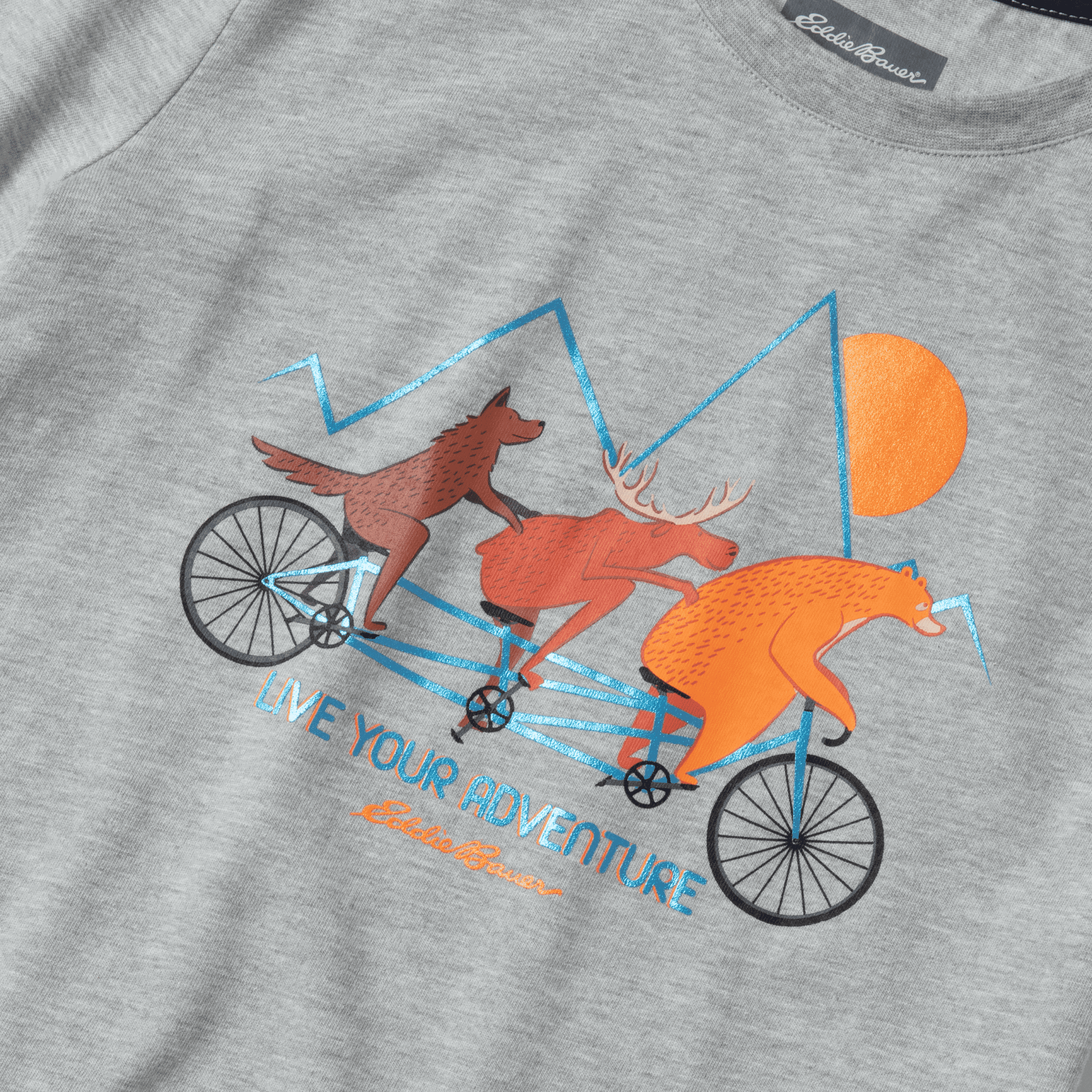 0633_194_Detail1-scaled-1.png